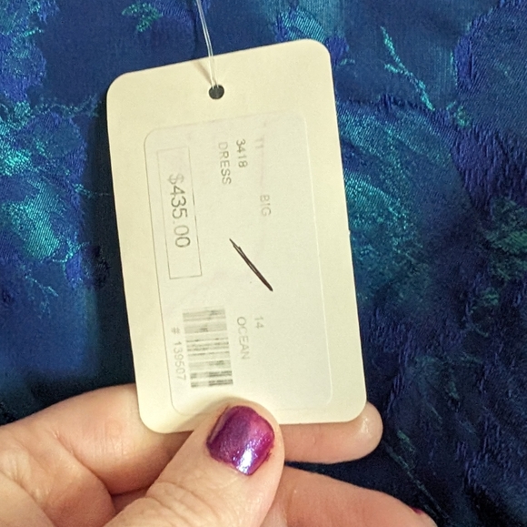 Blue Bigio Dress - Picture 4 of 4